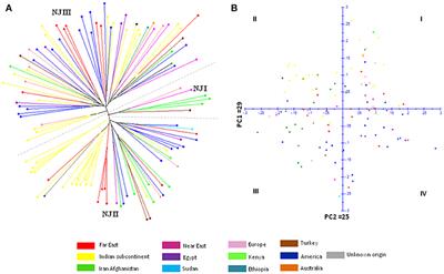 Association Mapping for Important Agronomic Traits in Safflower (Carthamus tinctorius L.) Core Collection Using Microsatellite Markers